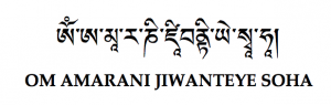 - Chú Phật Vô Lượng Thọ - Amitayus Mantra -
